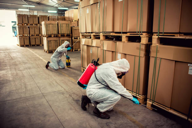 Best Pest Control Near Me  in Lake Nacimiento, CA