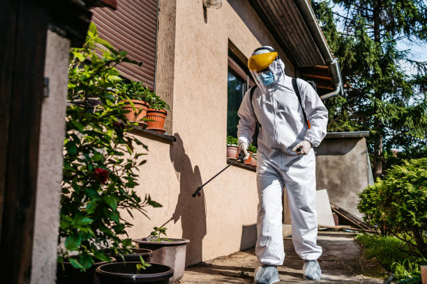 Best Mosquito Control Services  in Lake Nacimiento, CA