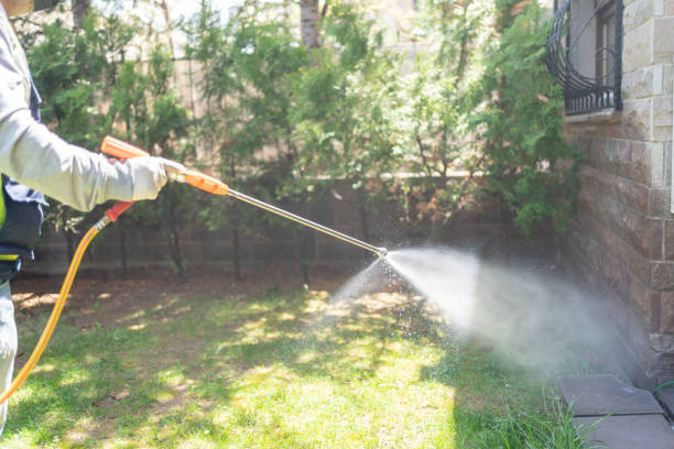 Best Pest Control Near Me  in Lake Nacimiento, CA