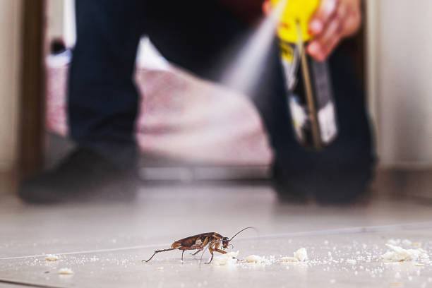 Best Rodent Control Near Me  in Lake Nacimiento, CA